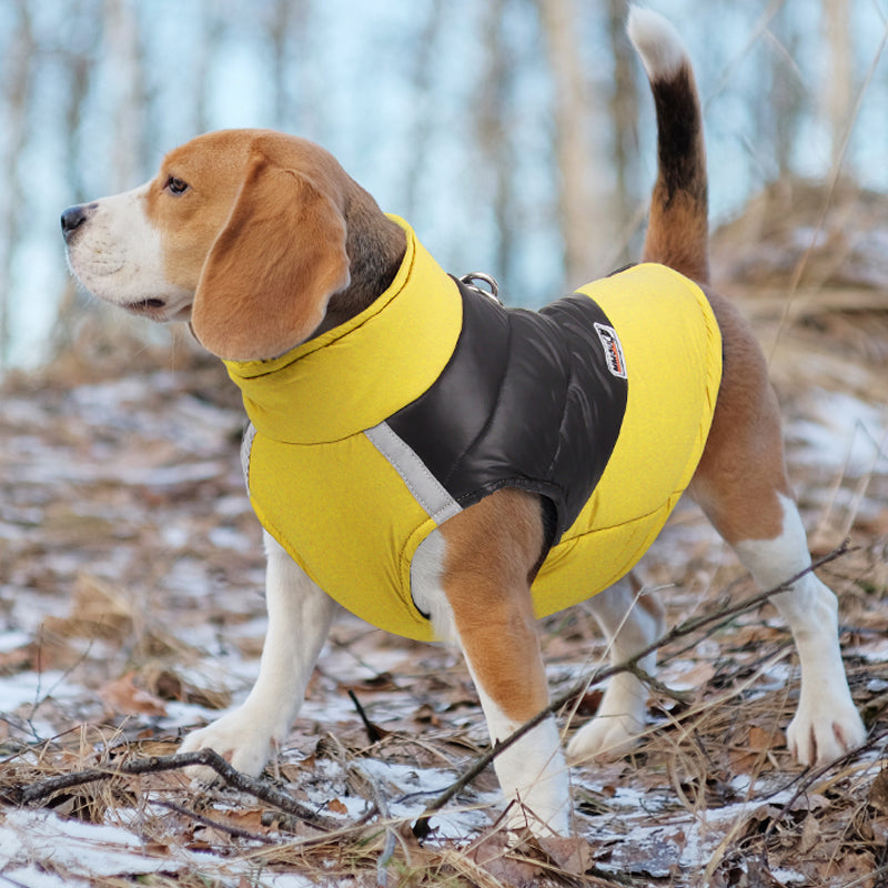 Waterproof Reflective Dog Jacket