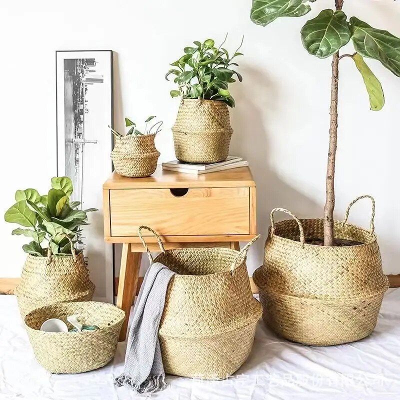 Versatile Wicker Seagrass Planter and Storage Basket