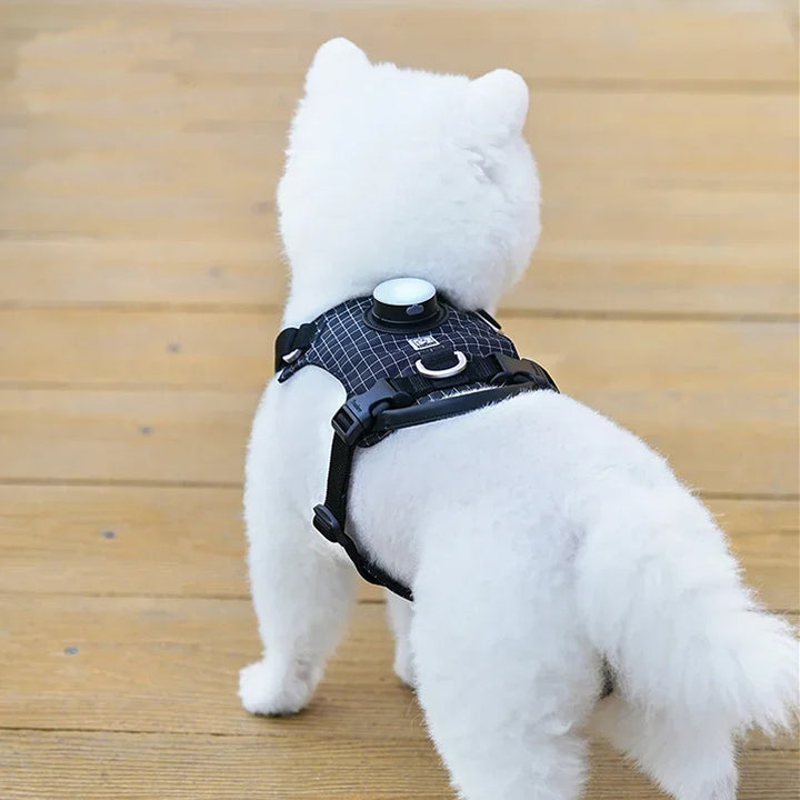 Adjustable LED Safety Harness