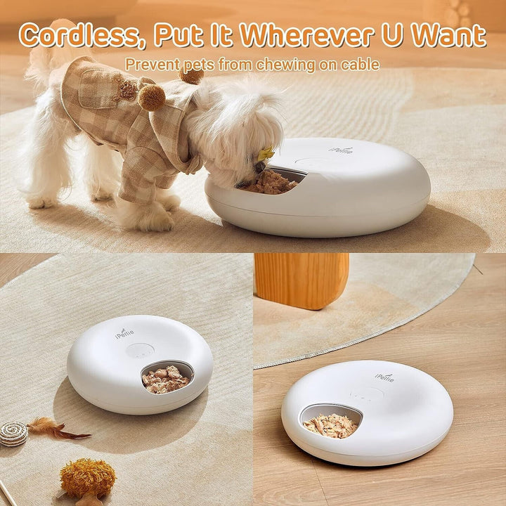Smart 6-Meal Automatic Pet Feeder for Cats: Timed Food Dispenser for Wet and Dry Food