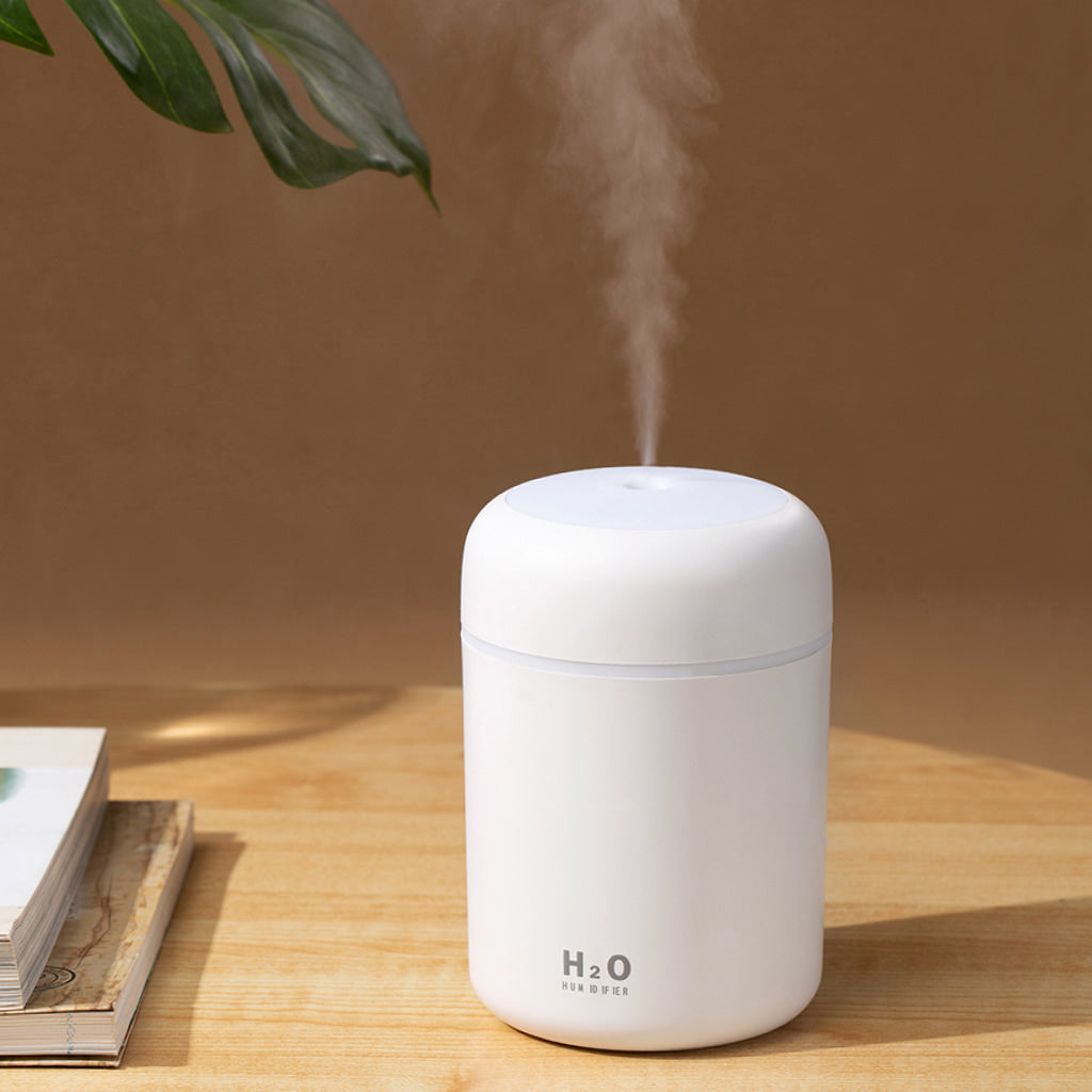 Mini LED Humidifier