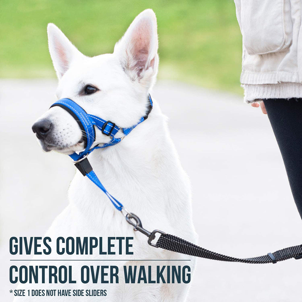 Reflective Nylon Dog Muzzle and Leash Set with Adjustable Fit