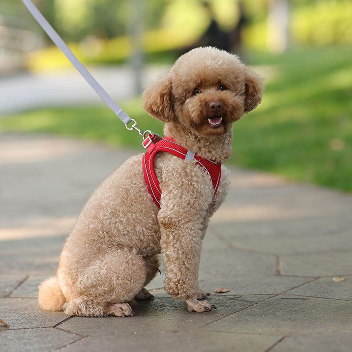 Adjustable Summer Mesh Harness and Leash Set for Small Dogs and Cats