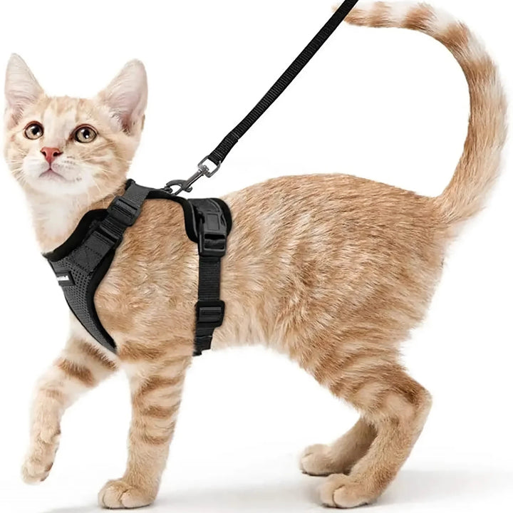 Escape-Proof Cat Harness & Leash