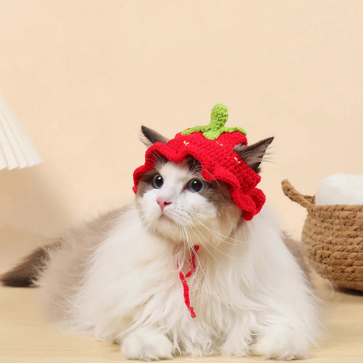 Cute Knitted Hat for Cats