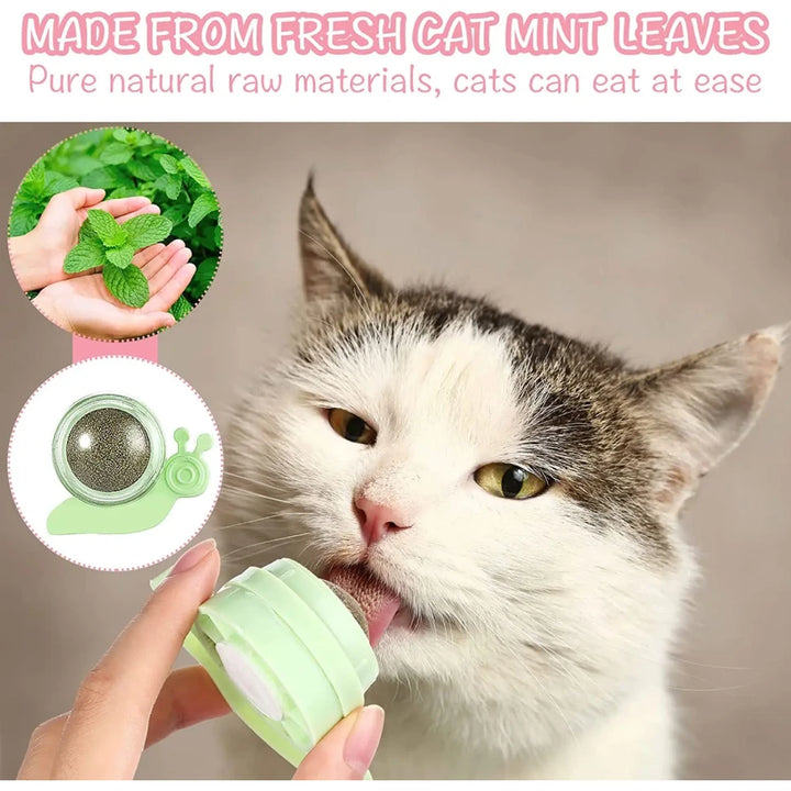 Catnip Wall Ball Toy for Cats