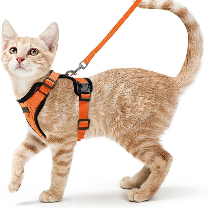 Escape-Proof Cat Harness & Leash