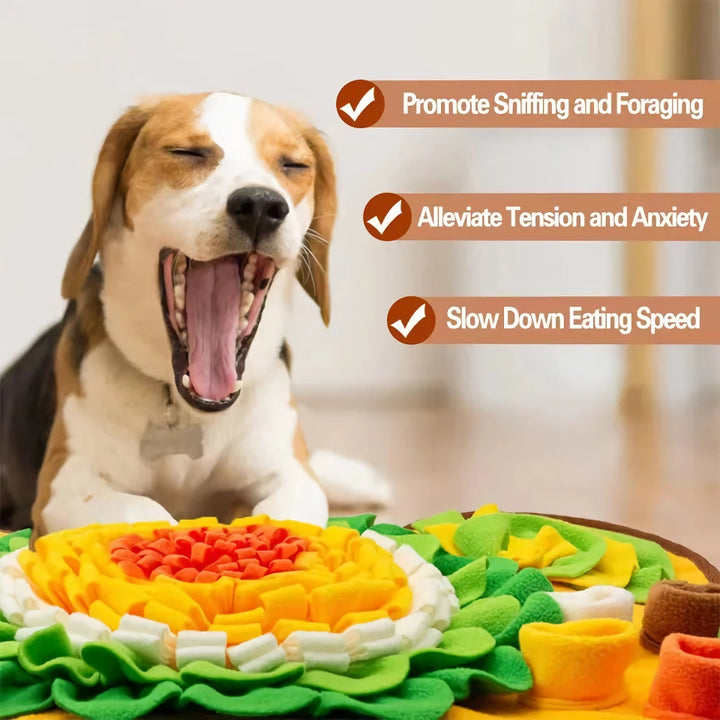 Interactive Sniff Mat for Dogs