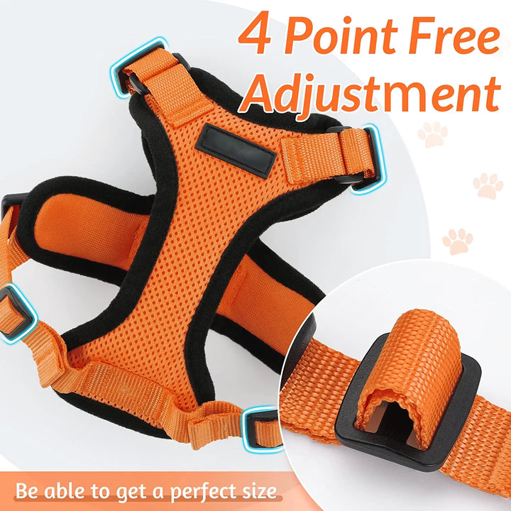 Escape-Proof Cat Harness & Leash