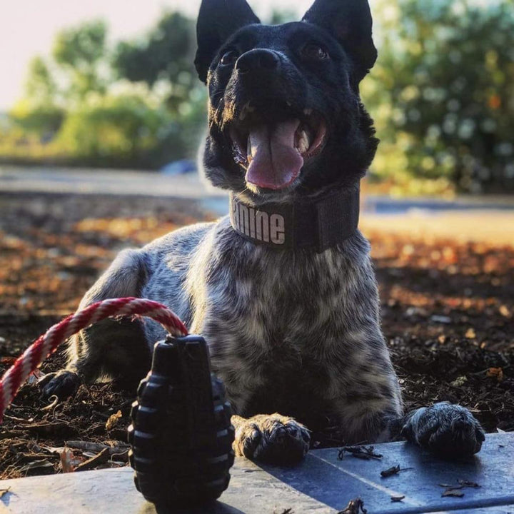 USA-K9 Magnum Grenade - Chew Toy - MRSLM