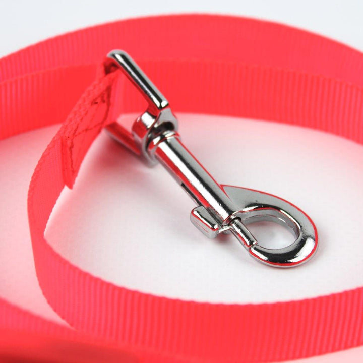 LED Dog Leash - MRSLM
