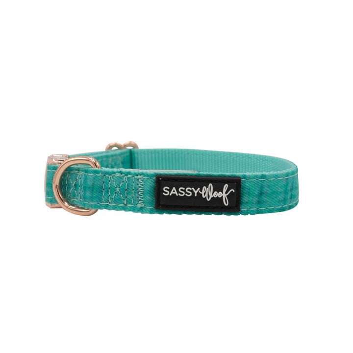 Wag Your Teal' Dog Collar - MRSLM
