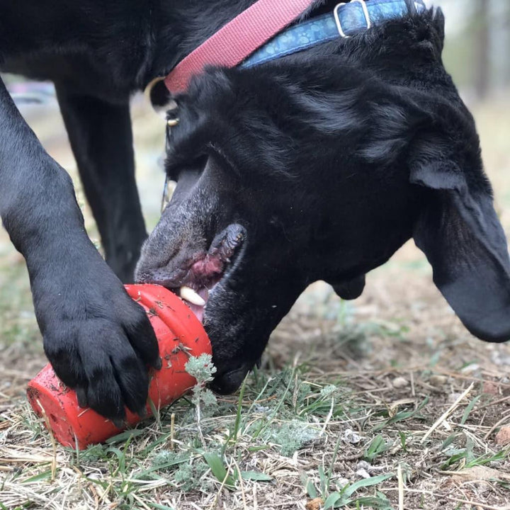 Coffee Cup - Chew Toy - MRSLM