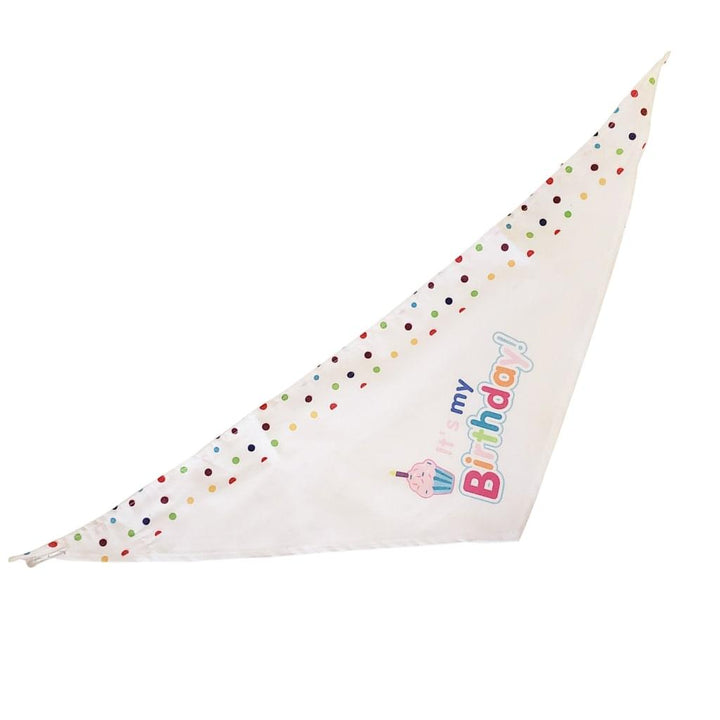 4-Piece Dog Birthday Kit - MRSLM