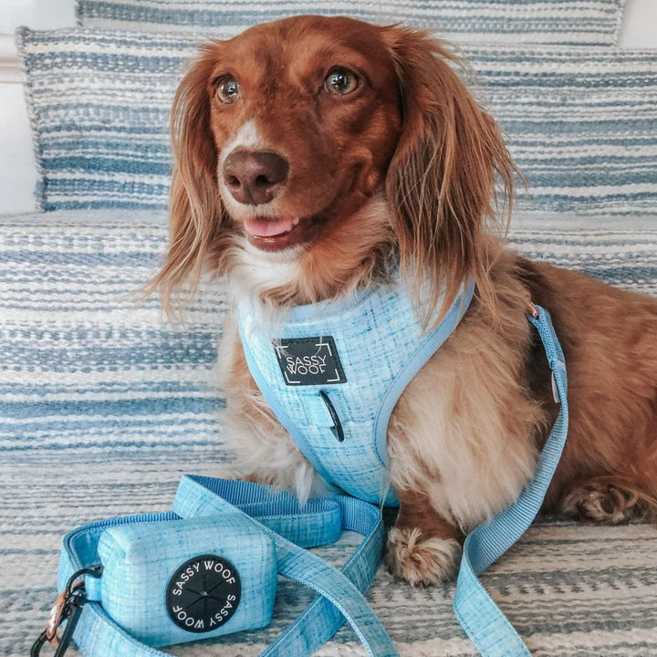 Blumond' Dog Waste Bag Holder - MRSLM