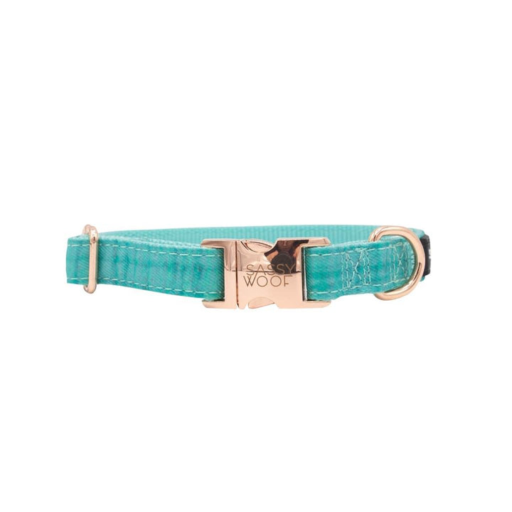 Wag Your Teal' Dog Collar - MRSLM