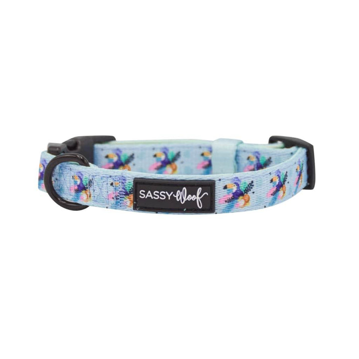 Tropicana' Dog Collar - MRSLM