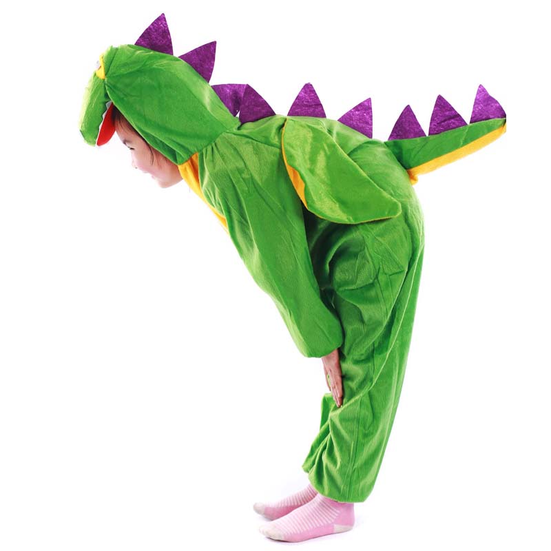 Party Dinosaur Costume for Boys