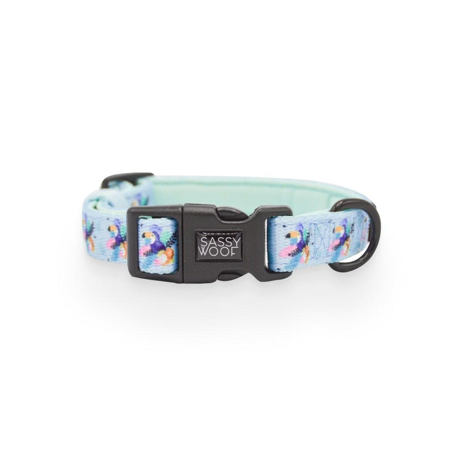 Tropicana' Dog Collar - MRSLM