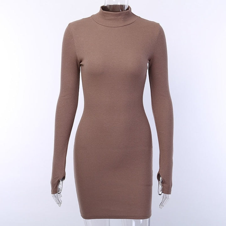 Women's Ribbed Knitted Turtleneck Mini Dress