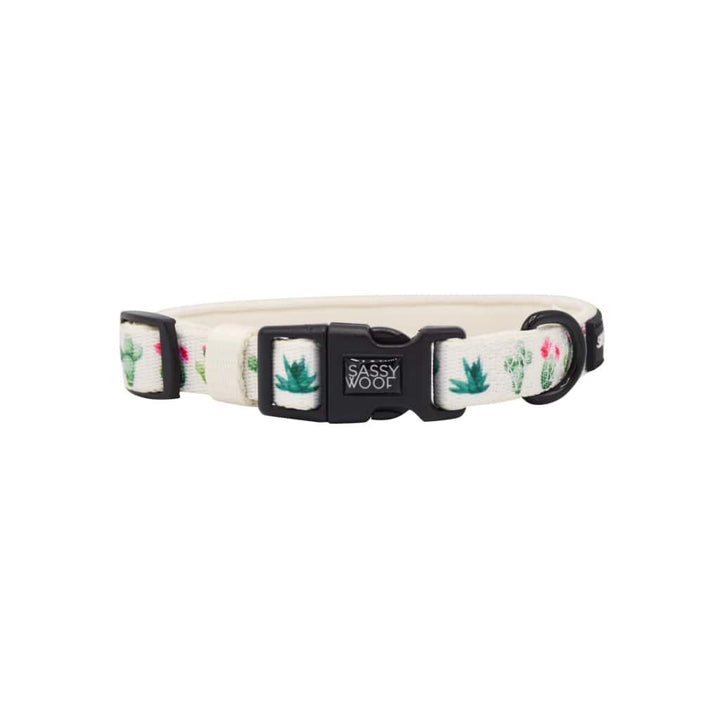 Sass on Point' Dog Collar - MRSLM