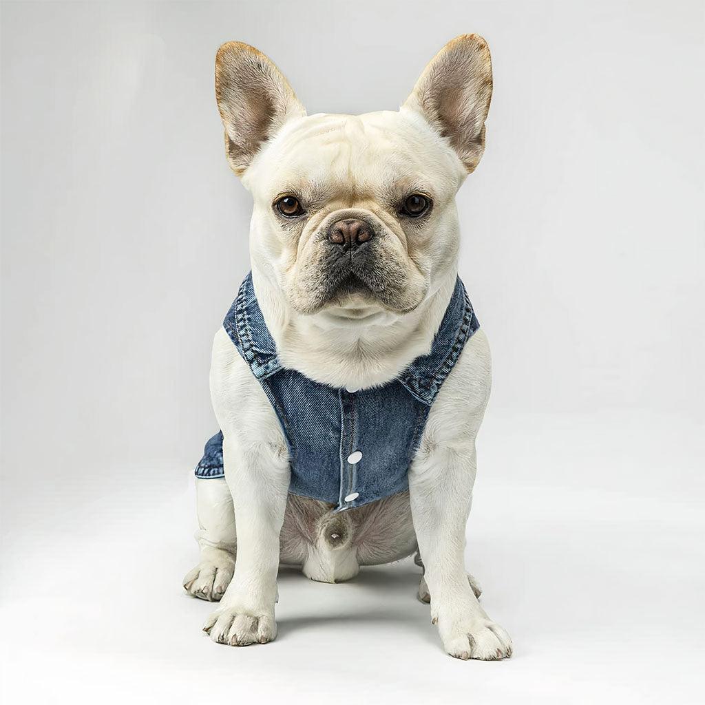 Pawfectly Stylish Dog Denim Vest - Crown Dog Denim Jacket - Printed Dog Clothing - MRSLM