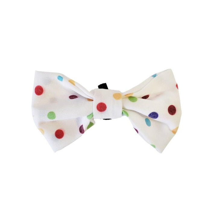 4-Piece Dog Birthday Kit - MRSLM