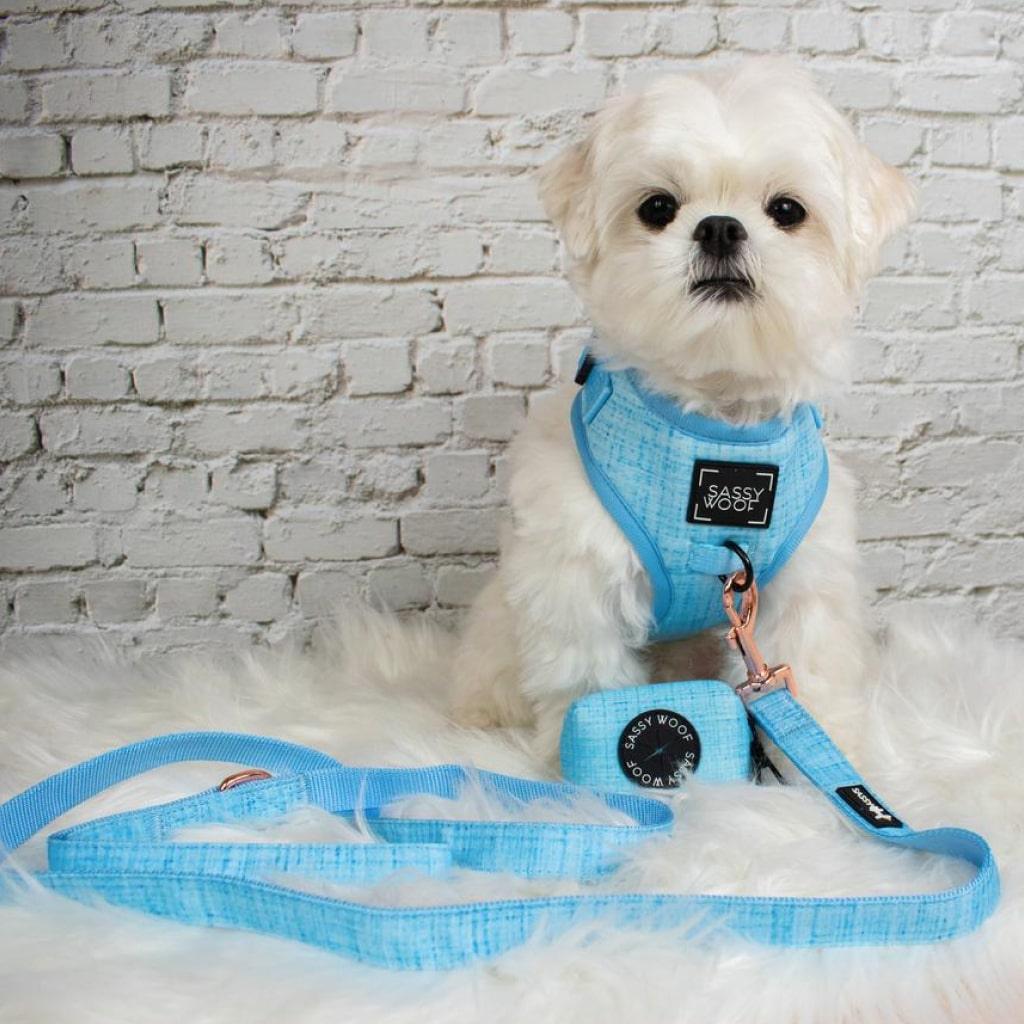 Blumond' Dog Waste Bag Holder - MRSLM