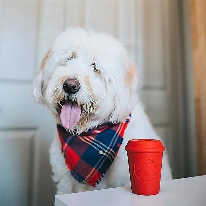 Coffee Cup - Chew Toy - MRSLM