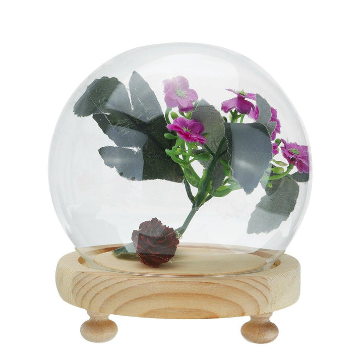 Round Decorative Transparent Glass Dome with Wooden Base Cloche Bell Jar - MRSLM