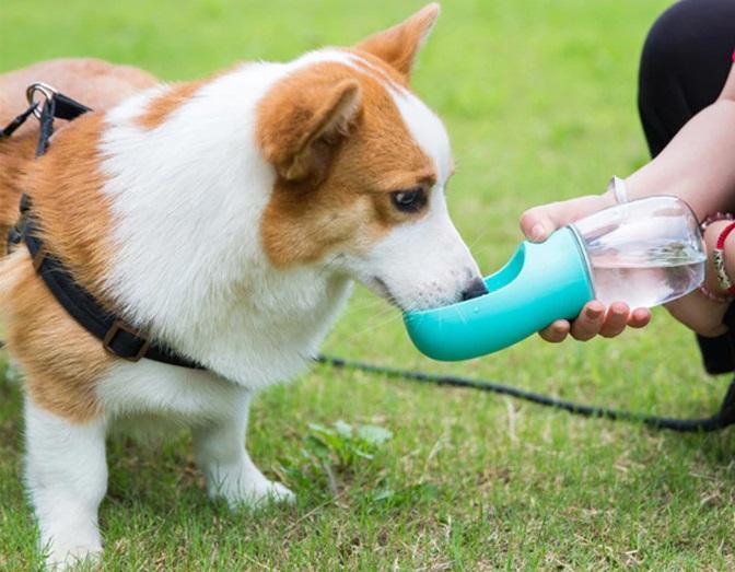 Portable Pet Water Bottle - MRSLM
