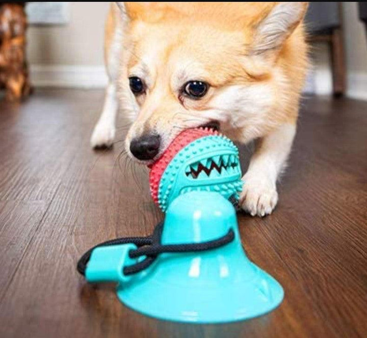 Tug-of-Floor Dog Toy - MRSLM