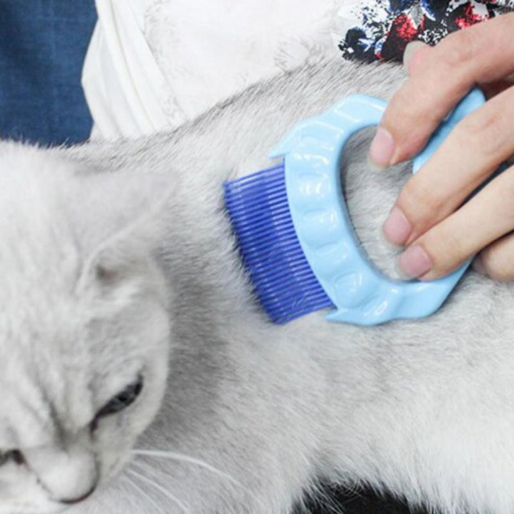 Pet Massage Shell Brush - MRSLM